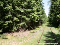 Mezi stromy vykukuje torzo druhé koleje výhybny Nowy Świat, v pravé části snímku zůstává zachována traťová kolej. | 26.5.2009