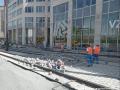Tramvajové těleso podél Legerovy ulice bude nově zakrývat velká žulová dlažba. | 05.05.2026
