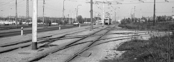 Kolejový trojúhelník na Bělohorské ulici, jímž se napojovala manipulační trať v Kukulově ulici v pohledu od Bílé Hory již po zastavení provozu. | jaro 1981