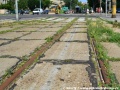 Opustená trať na Predstaničné námestie pomaly mizne v tráve a iných nánosoch. | 3.7.2012
