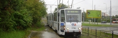 V té době se v Brně dalo ještě stále potkat větší množství nerekonstruovaných vozů KT8D5. Vůz #1736 (ex #518 z Košic) přijíždí do zastávky Novolíšeňská. | 30.8.2010