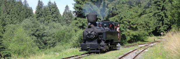 Parní lokomotiva U35.901 ve výhybně Šánske objíždí svůj vlak. | 16.7.2021