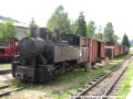 Odstavená parní lokomotiva na nádraží v Čiernem Balogu | 8.8.2007