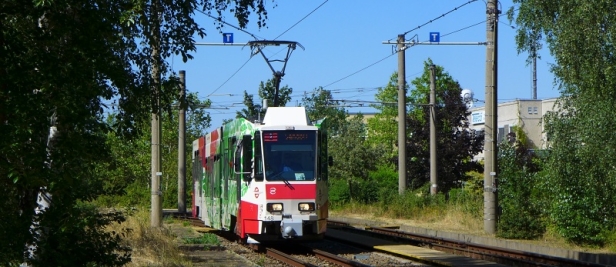 Rozloučíme se vozem #148 na smyčce Sachsendorf. | 27.6.2019