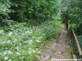 Příroda postupně pohlcuje těleso lanové dráhy. | 14.6.2013
