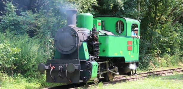 Nejnovějším přírůstkem Košické dětské železnice z roku 2016 je parní lokomotiva ČKD 900 BS 200, která absolvovala rozsáhlou opravu a renovaci, kterou uskutečnili odborníci z Muzea starých strojů v Žamberku. Na železnici obdržela označení U29.101 a pojmenování KRUTWIG. | 21.7.2019