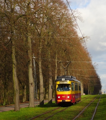 Na příměstských linkách nejvíce jezdí tramvaje Duewag GT8, kterým se mezi místními (kvůli německému původu) říká Helmut. Duewag #GT8 1147 na spoji linky 43 přijíždí do zastávky ZOO. | 27.10.2017