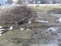 Rekonstrukce odhalila i pozůstatky po původní tramvajové trati. | 23.1.2012