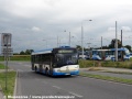 Obvyklý obrázek dopravy v Ostravě – autobusy Solaris a tramvaje Vario. | 15.7.2013