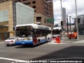Autobusová doprava v Sydney | červen 2006