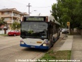 Autobusová doprava v Sydney | červen 2006