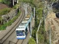 Tramvajová doprava v Sydney | červen 2006