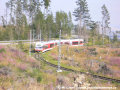 K Nové Poliance uhání oblouky tratě dvojice spřažených jednotek TEŽ 425 959-4+425 964-4 | 5.8.2007