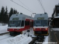 V cílové stanici na Štrbském Plese postávají jednotky TEŽ 425 953-7 a 425 955-2 | 15.3.2009