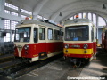Motorové vozy 411 902-0 a 411 903-8 odstavené v hale depa Trenčianská Elektrická Železnice. | 24.4.2011