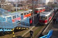 Setkání tramvají vycházejících z koncepce vozů T3 ve smyčce Královka během slavnostního zahájení provozu linky 23. | 25.3.2017