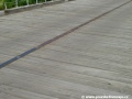 Dřevěná mostovka ze smrkového dřeva je ukotvena pouze ve střední části šrouby spojenými pásovinou. | 5.6.2011