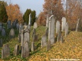 Opuštěný Židovský hřbitov v Osoblaze poskytuje místo posledního odpočinku více než třem stovkám předků... | 5.11.2011