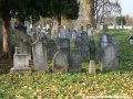 Opuštěný Židovský hřbitov v Osoblaze poskytuje místo posledního odpočinku více než třem stovkám předků... | 5.11.2011