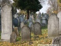 Opuštěný Židovský hřbitov v Osoblaze poskytuje místo posledního odpočinku více než třem stovkám předků... | 5.11.2011