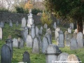 Opuštěný Židovský hřbitov v Osoblaze poskytuje místo posledního odpočinku více než třem stovkám předků... | 5.11.2011