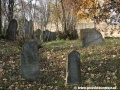 Opuštěný Židovský hřbitov v Osoblaze poskytuje místo posledního odpočinku více než třem stovkám předků... | 5.11.2011