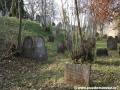 Opuštěný Židovský hřbitov v Osoblaze poskytuje místo posledního odpočinku více než třem stovkám předků... | 5.11.2011