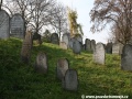 Opuštěný Židovský hřbitov v Osoblaze poskytuje místo posledního odpočinku více než třem stovkám předků... | 5.11.2011