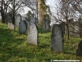 Opuštěný Židovský hřbitov v Osoblaze poskytuje místo posledního odpočinku více než třem stovkám předků... | 5.11.2011
