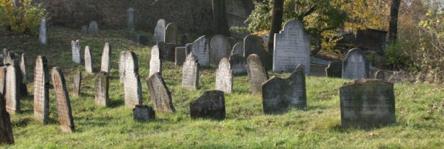 Opuštěný Židovský hřbitov v Osoblaze poskytuje místo posledního odpočinku více než třem stovkám předků... | 5.11.2011