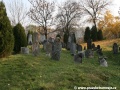 Opuštěný Židovský hřbitov v Osoblaze poskytuje místo posledního odpočinku více než třem stovkám předků... | 5.11.2011