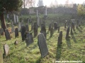 Opuštěný Židovský hřbitov v Osoblaze poskytuje místo posledního odpočinku více než třem stovkám předků... | 5.11.2011