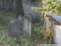 Opuštěný Židovský hřbitov v Osoblaze poskytuje místo posledního odpočinku více než třem stovkám předků... | 5.11.2011