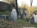 Opuštěný Židovský hřbitov v Osoblaze poskytuje místo posledního odpočinku více než třem stovkám předků... | 5.11.2011