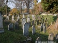 Opuštěný Židovský hřbitov v Osoblaze poskytuje místo posledního odpočinku více než třem stovkám předků... | 5.11.2011