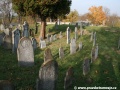 Opuštěný Židovský hřbitov v Osoblaze poskytuje místo posledního odpočinku více než třem stovkám předků... | 5.11.2011