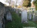Opuštěný Židovský hřbitov v Osoblaze poskytuje místo posledního odpočinku více než třem stovkám předků... | 5.11.2011