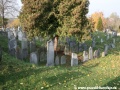 Opuštěný Židovský hřbitov v Osoblaze poskytuje místo posledního odpočinku více než třem stovkám předků... | 5.11.2011