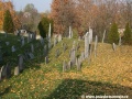 Opuštěný Židovský hřbitov v Osoblaze poskytuje místo posledního odpočinku více než třem stovkám předků... | 5.11.2011
