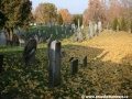 Opuštěný Židovský hřbitov v Osoblaze poskytuje místo posledního odpočinku více než třem stovkám předků... | 5.11.2011