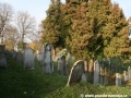 Opuštěný Židovský hřbitov v Osoblaze poskytuje místo posledního odpočinku více než třem stovkám předků... | 5.11.2011