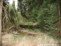 Zarůstající přepadová kaskáda u západního konce přehrady. | 8.5.2011