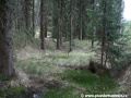 Zarůstající přepadová kaskáda u západního konce přehrady. | 8.5.2011
