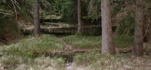 Zarůstající přepadová kaskáda u západního konce přehrady. | 8.5.2011