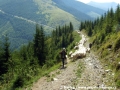 Jednoduše! Každé ráno vyhání bačové z údolí na hřeben stáda ovcí a koz... | 19.–26.7.2009