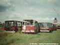 Likvidace vyřazených autobusů z Prahy probíhala na různých místech. Na snímku je zachycena šrotace vozů ev.č.4558, 4401 a 4509 poblíž nádraží v Berouně | 9.7.1997