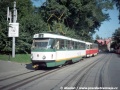 Souprava vozů T3 ev.č.38+43 přijíždí k zastávce Botanická – ZOO ve směru do centra. Na snímku je zřetelné, že je ve splítce používán zejména úzký rozchod, tato skutečnost se však již brzy měla změnit. | 18.8.1998