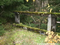 Betonová konstrukce mostu postupně zarůstá vegetací... | 24.10.2008