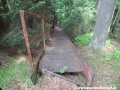 Schodiště podél svahu doskočiště se ztrácí v lesním porostu. | 21.5.2012