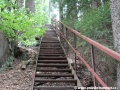 Schodiště podél svahu doskočiště se ztrácí v lesním porostu. | 21.5.2012